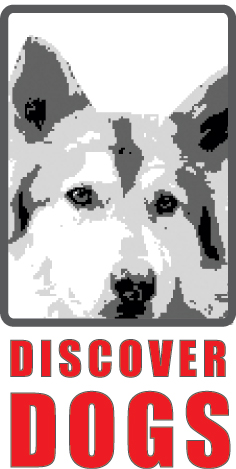 Discover Dogs heißt Sie Willkommen (F5 drücken um die Seite zu aktualisieren)